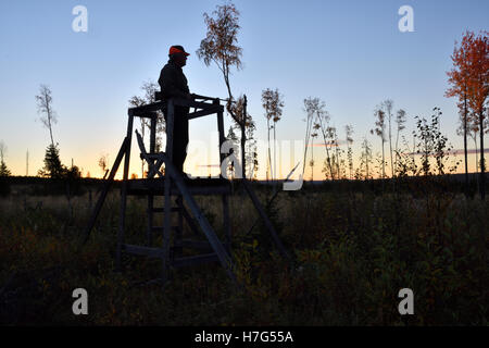 Silhouette di un cacciatore di alci in piedi in una torre di caccia Foto Stock