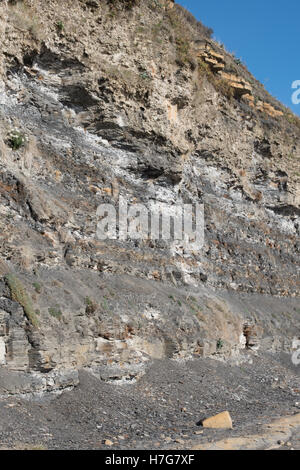 Cliff roccia cade, Kimmeridge Bay, Dorset. Foto Stock