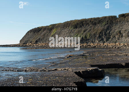 Piscine di roccia sulla spiaggia di Baia Kimmeridge, Dorset Foto Stock