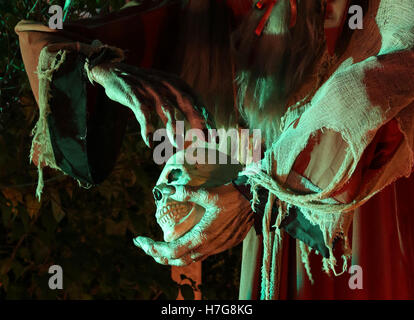 Strega tenendo un cranio. Decorazioni di Halloween. Cantiere di Halloween display. Foto Stock