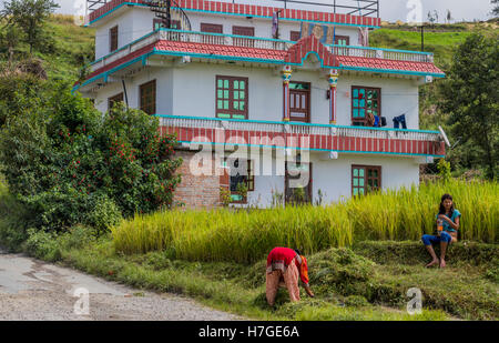 Lavoratore nepalese frequentando il paddy mentre altri si rompono vicino a una casa in risaie nella zona di Dhulikhel,Nepal Foto Stock