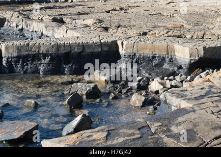 Piscine di roccia sulla spiaggia di Baia Kimmeridge, Dorset Foto Stock