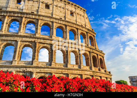 Dettaglio del Colosseo a Roma, Italia Foto Stock