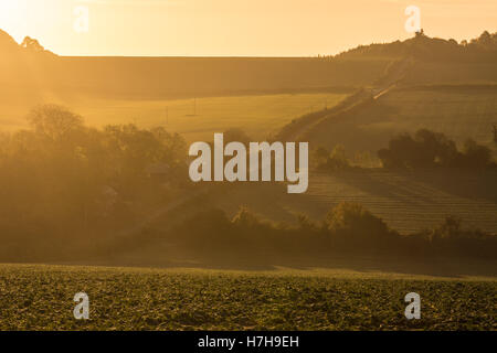 Hampshire, Regno Unito. 6 Nov, 2016. Regno Unito: Meteo Il sole sorge su un gelido paesaggio su una chiara mattina di novembre. Credito: Patricia Phillips/ Alamy Live News Foto Stock