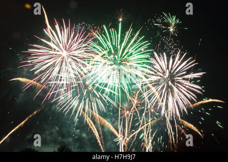 Epsom Surrey, Regno Unito. 5 novembre 2016. L annuale di fuochi d'artificio al gancio di Arena di Epsom è andato fuori con un bang. Credito: Julia Gavin UK/Alamy Live News Foto Stock