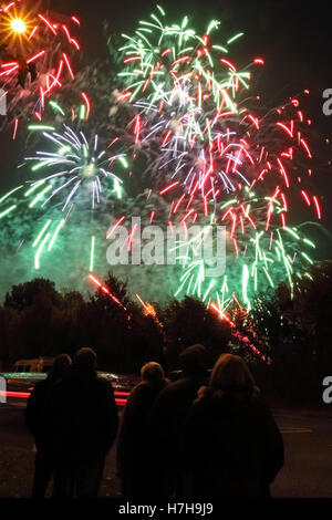 Epsom Surrey, Regno Unito. 5 novembre 2016. L annuale di fuochi d'artificio al gancio di Arena di Epsom è andato fuori con un bang. Credito: Julia Gavin UK/Alamy Live News Foto Stock