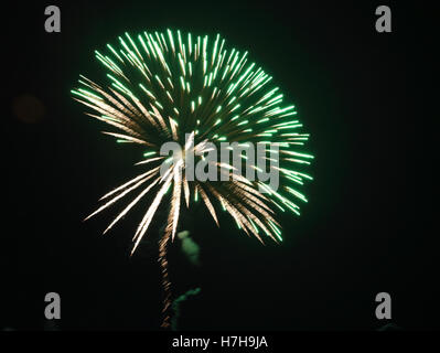 Epsom Surrey, Regno Unito. 5 novembre 2016. L annuale di fuochi d'artificio al gancio di Arena di Epsom è andato fuori con un bang. Credito: Julia Gavin UK/Alamy Live News Foto Stock