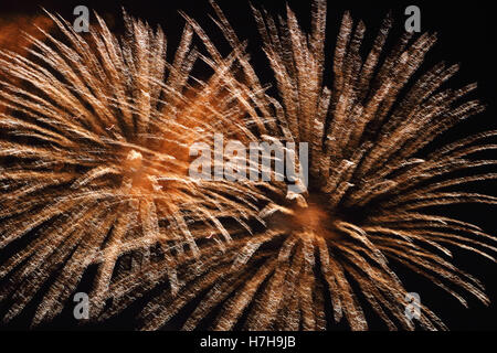 Epsom Surrey, Regno Unito. 5 novembre 2016. L annuale di fuochi d'artificio al gancio di Arena di Epsom è andato fuori con un bang. Credito: Julia Gavin UK/Alamy Live News Foto Stock