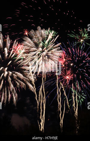 Epsom Surrey, Regno Unito. 5 novembre 2016. L annuale di fuochi d'artificio al gancio di Arena di Epsom è andato fuori con un bang. Credito: Julia Gavin UK/Alamy Live News Foto Stock