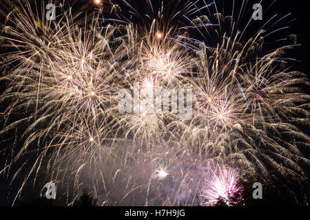 Epsom Surrey, Regno Unito. 5 novembre 2016. L annuale di fuochi d'artificio al gancio di Arena di Epsom è andato fuori con un bang. Credito: Julia Gavin UK/Alamy Live News Foto Stock