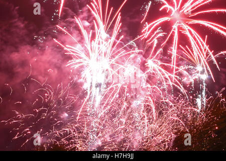 Epsom Surrey, Regno Unito. 5 novembre 2016. L annuale di fuochi d'artificio al gancio di Arena di Epsom è andato fuori con un bang. Credito: Julia Gavin UK/Alamy Live News Foto Stock