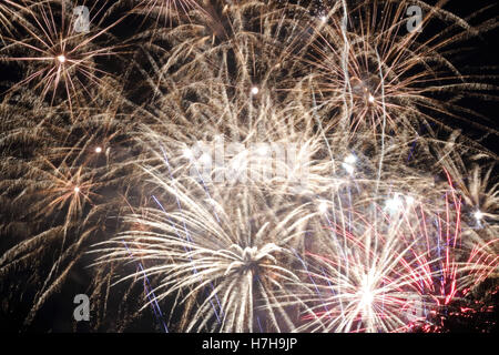 Epsom Surrey, Regno Unito. 5 novembre 2016. L annuale di fuochi d'artificio al gancio di Arena di Epsom è andato fuori con un bang. Credito: Julia Gavin UK/Alamy Live News Foto Stock