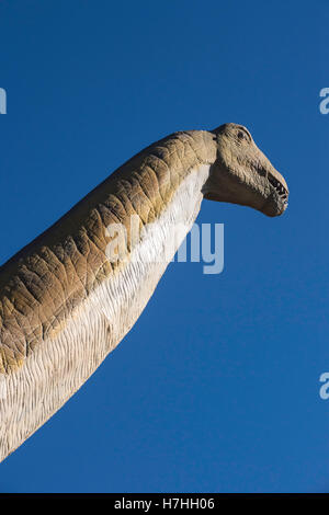 Omeisaurus, ricostruzione/modello di sauropod dinosaur Foto Stock