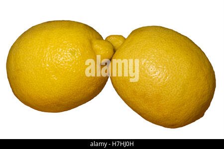 Due tutta gialla con la buccia dei limoni Foto Stock