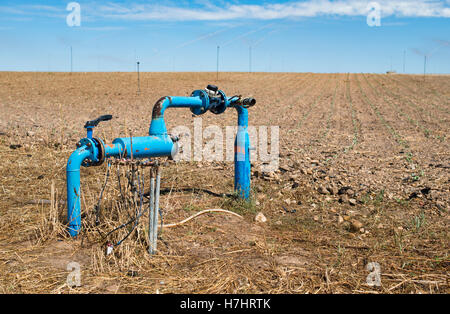 Agricoltura tubi e acqua di rubinetto per impianti di irrigazione Foto Stock