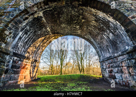 Vittoriano vecchio viadotto ferroviario arch alberi framing a Northwich, Cheshire, Regno Unito. Foto Stock