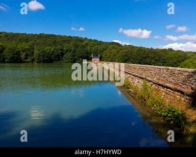 Vista su Linacre serbatoio vicino Cutthorpe e Chesterfield in North East Derbyshire England Regno Unito Foto Stock