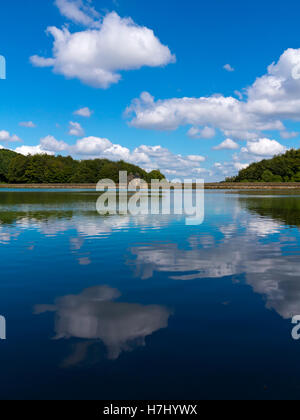 Vista su Linacre serbatoio vicino Cutthorpe e Chesterfield in North East Derbyshire England Regno Unito Foto Stock