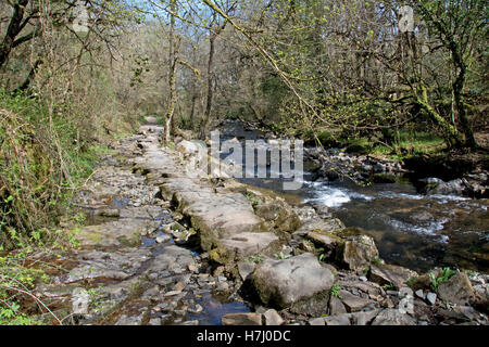 L'Oriente Okement fiume a monte di Okehampton, sulla northwestern frange di Dartmoor Foto Stock