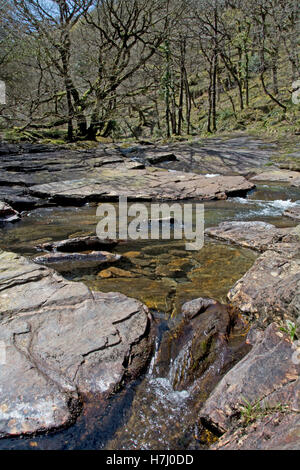 L'Oriente Okement fiume a monte di Okehampton, sulla northwestern frange di Dartmoor Foto Stock