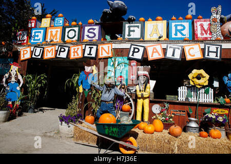 Fattoria di Halloween display con zucche, Lemos Farm, Half Moon Bay, California, Stati Uniti d'America Foto Stock