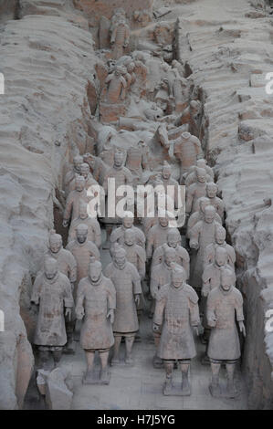 Guerrieri di Terracotta e i Cavalli di Qin Shi Huang, Cina Foto Stock