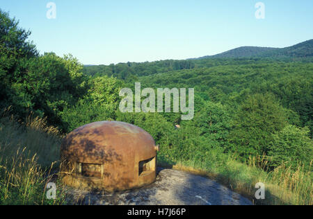 Bunker della Ligne Maginot, Linea Maginot bunker, linea difensiva, Lembach, Alsazia, Francia, Europa Foto Stock