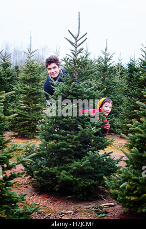 Due fratelli divertirsi a tagliare il tuo albero di natale agriturismo Foto Stock