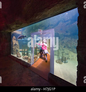 Malta National Aquarium, Qawra-Buggiba. A piedi attraverso il tunnel, versione mini per bambini. Foto Stock