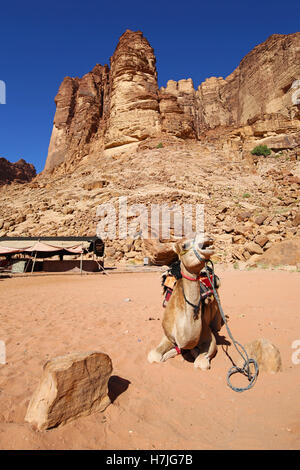 Le formazioni rocciose di Lawrence della primavera nel deserto a Wadi Rum, Giordania Foto Stock