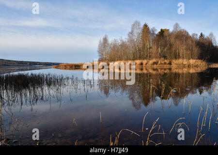 Vista su un lago con un po' di alghe in primo piano e una piccola isola in background, immagine dal nord della Svezia. Foto Stock