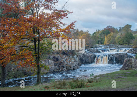 Il Fiume Tees in esecuzione attraverso la bassa forza cascata in Teesdale. Foto Stock