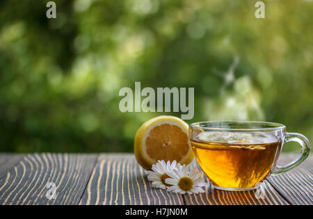 Tazza di tè camomilla con i fiori di camomilla e limone Foto Stock