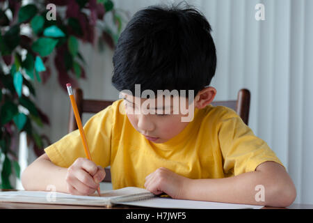 Un ragazzo asiatico che sta facendo il suo compiti a casa. Foto Stock