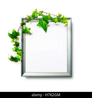 Foto in photo frame con il verde foglie d'edera isolati su sfondo bianco percorso di clipping incluso. Lay piatto. Spazio di copia Foto Stock
