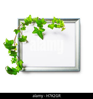 Foto in photo frame con il verde foglie d'edera isolati su sfondo bianco percorso di clipping incluso. Lay piatto. Spazio di copia Foto Stock