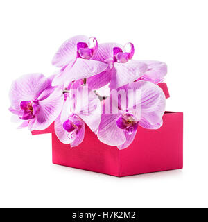 Rosa confezione regalo con fiori di orchidea. Vacanze di lusso presente. Oggetto isolato su sfondo bianco percorso di clipping incluso Foto Stock