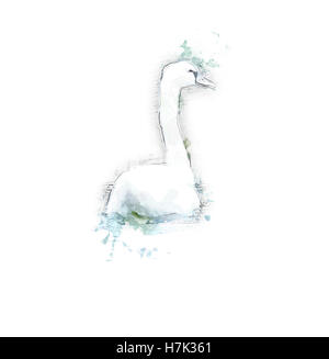 Migliorate digitalmente immagine di un cigno bianco nuotare nel fiume Danubio, Austria Foto Stock