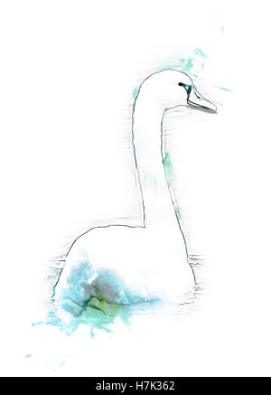 Migliorate digitalmente immagine di un cigno bianco nuotare nel fiume Danubio, Austria Foto Stock