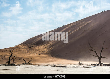 Morto di alberi a secco di DeadVlei valle al deserto del Namib e sagome di persone su una grande duna di sabbia edge Foto Stock