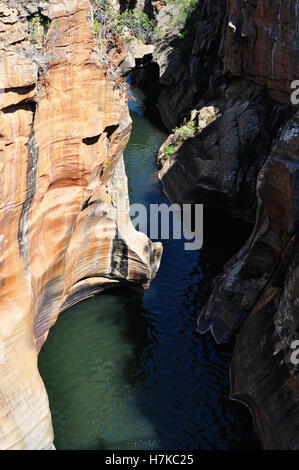 Sud Africa: vista delle buche e piscine a tuffo del vero fiume a Bourke's Luck buche, parte del Fiume Blyde Canyon Foto Stock