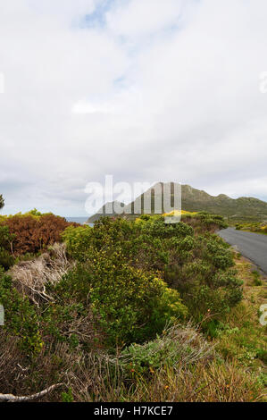 Sud Africa: uno scorcio di Cape Point dalla M65, il percorso che collega Città del Capo a Cape Peninsula Foto Stock