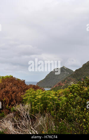 Sud Africa: uno scorcio di Cape Point promontorio visto dalla M65, il percorso che collega Città del Capo a Cape Peninsula Foto Stock