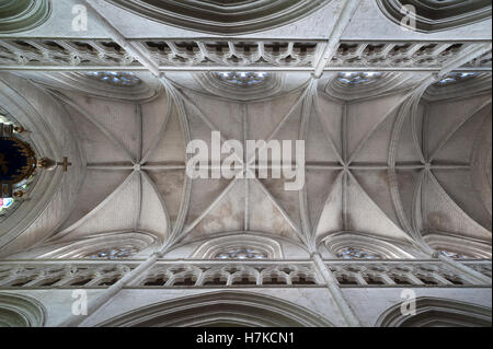 Navata in volto dal XIII secolo, la Cattedrale di Lucon, La Cathedrale Notre-Dame de l'Assomption, Luçon, della Vandea, Francia Foto Stock