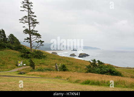 Una vista di Cannon Beach e la Oregon Coast da Ecola State Park. Foto Stock