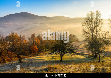 Strada asfaltata passando attraverso la collina con ingiallito alberi nella nebbia mattutina. Carpazi può essere visto in lontananza sotto c Foto Stock