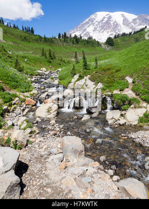 Vista guardando a nord da Edith Creek con Mt. Rainier in background. La posizione è appena sopra il mirto cade. Foto Stock