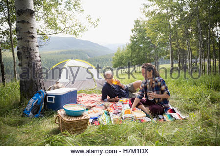 Coppia senior godendo picnic sulla coperta al campeggio rurale