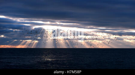 Brighton Sussex, Regno Unito. 6 Nov, 2016. La luce del sole si rompe drasticamente attraverso le nuvole al tramonto su Brighton dopo un'altra bella giornata autunnale nel sud della Bretagna Credito: Simon Dack/Alamy Live News Foto Stock