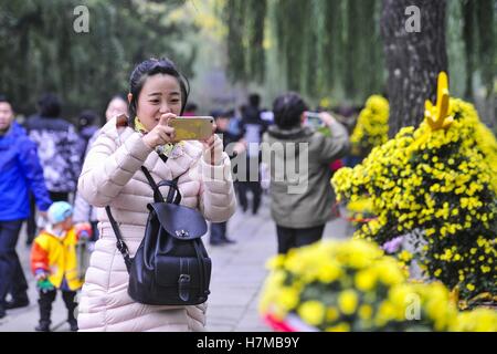 Jinan, Jinan, Cina. 6 Nov, 2016. Jinan, CINA-novembre 6 2016: (solo uso editoriale. Cina OUT) .il crisantemo mostra di Jinan, a est della capitale cinese della provincia dello Shandong, Novembre 6th, 2016. Il crisantemo fiorisce presso i Bagni di Baotu Park di Jinan, attirare folle di turisti. Credito: SIPA Asia/ZUMA filo/Alamy Live News Foto Stock